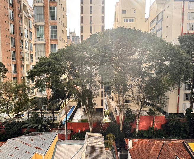 Foto REO1103952