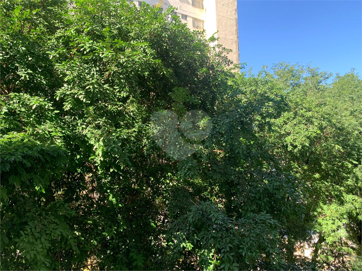 Foto REO1103958