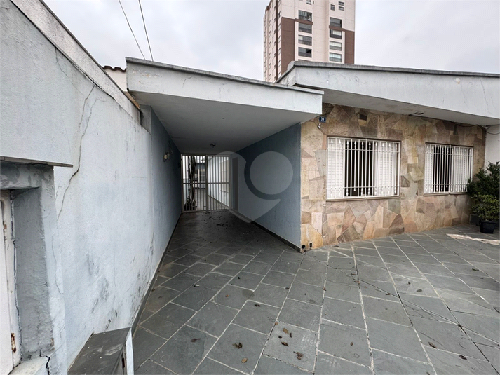 Foto REO1103965