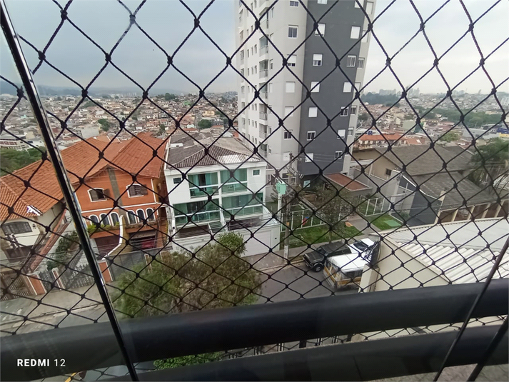 Foto REO1103966