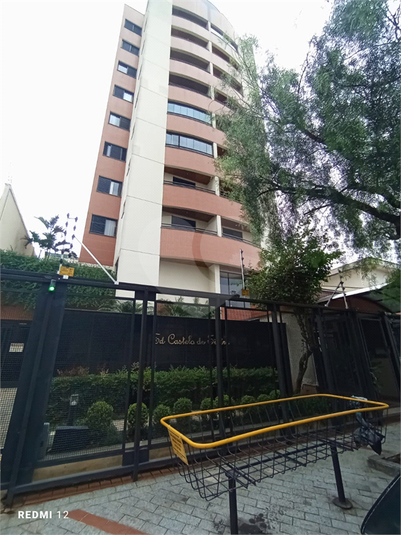 Foto REO1103966