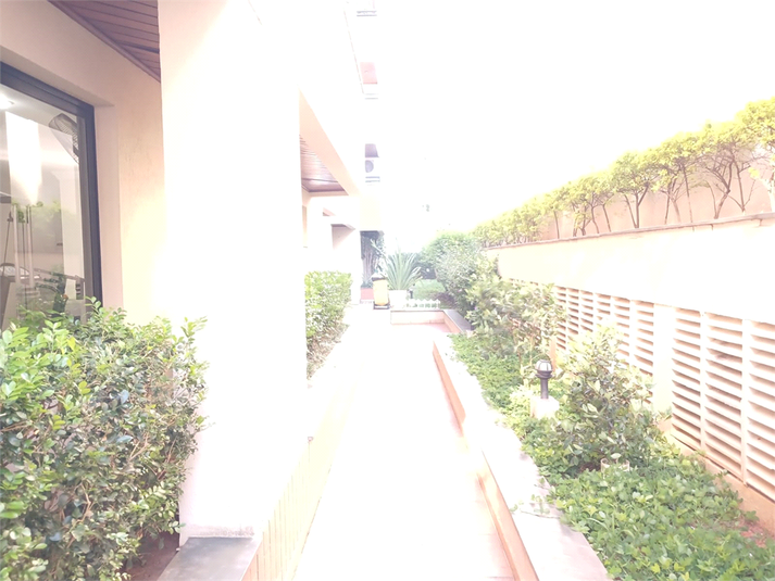 Foto REO1103966