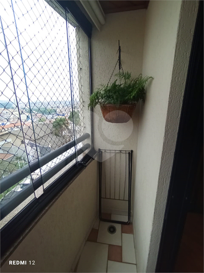 Foto REO1103966