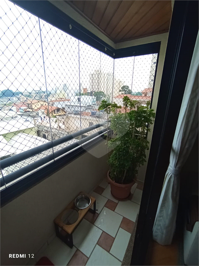 Foto REO1103966