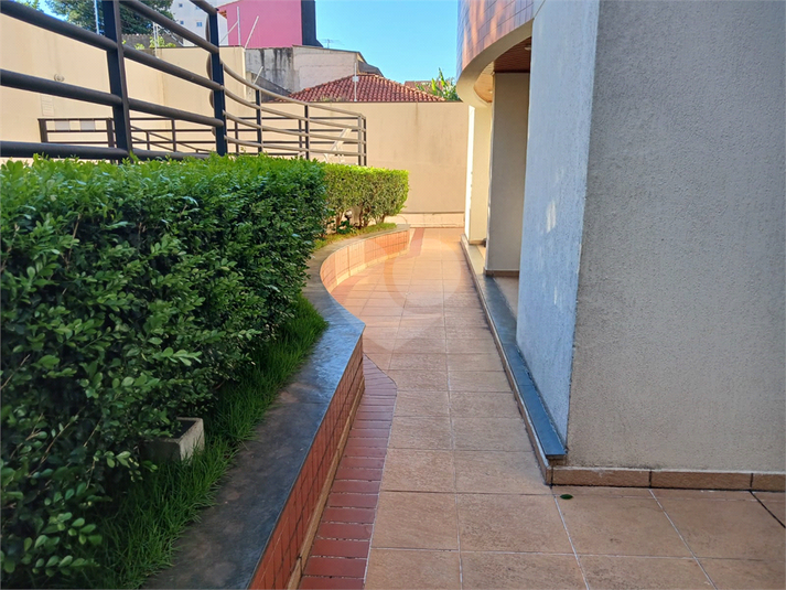 Foto REO1103966