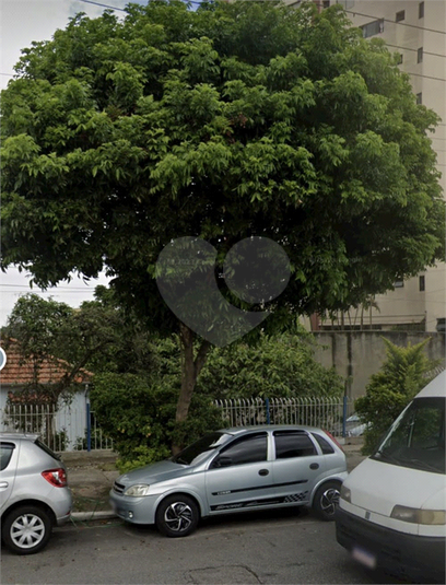 Foto REO1103967