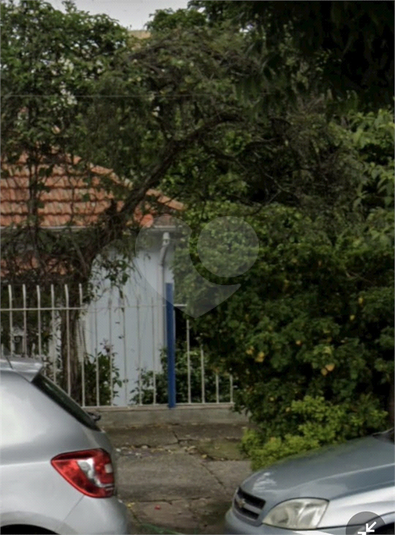 Foto REO1103967