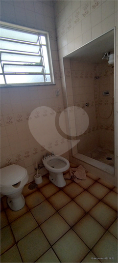 Foto REO1103982