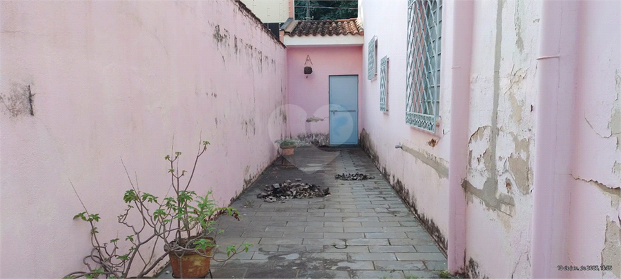 Foto REO1103982