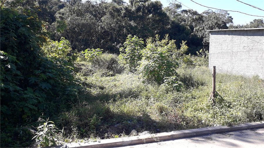 Foto REO1104037