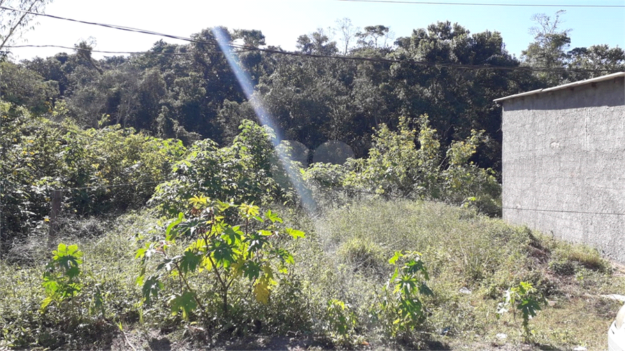 Foto REO1104037
