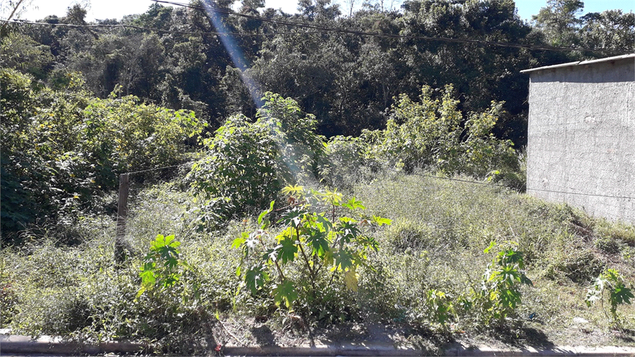 Foto REO1104037