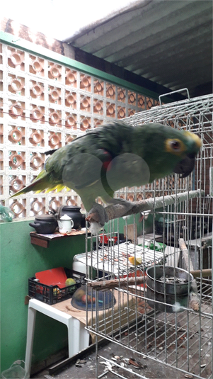 Foto REO1104038