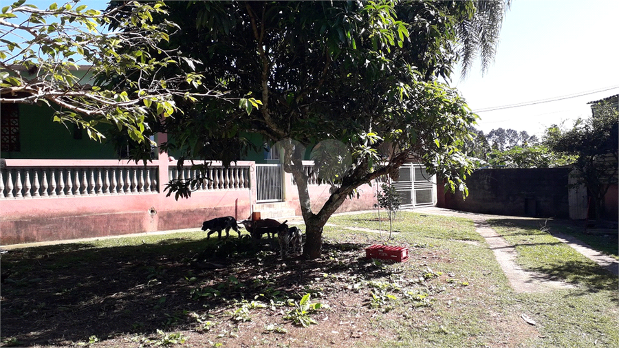 Foto REO1104038