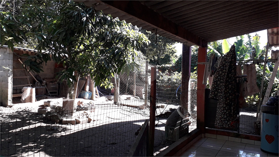 Foto REO1104038