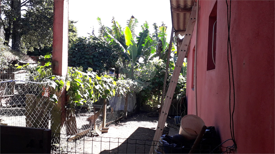 Foto REO1104038
