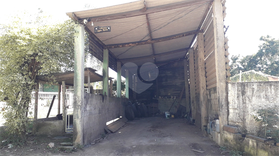 Foto REO1104038
