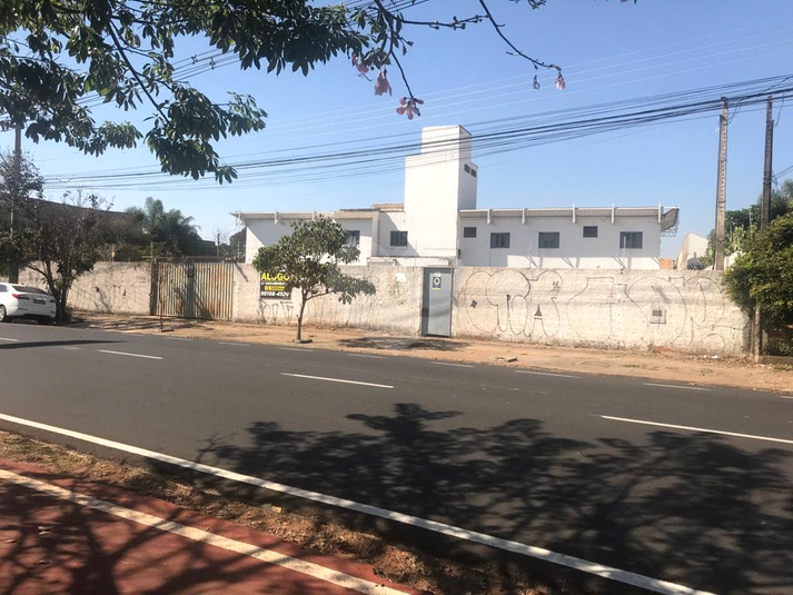 Foto REO1104044