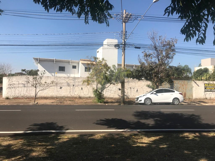 Foto REO1104044