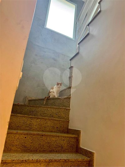 Foto REO1104137