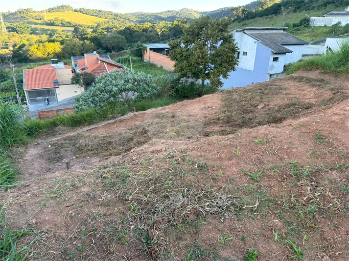 Foto REO1104179