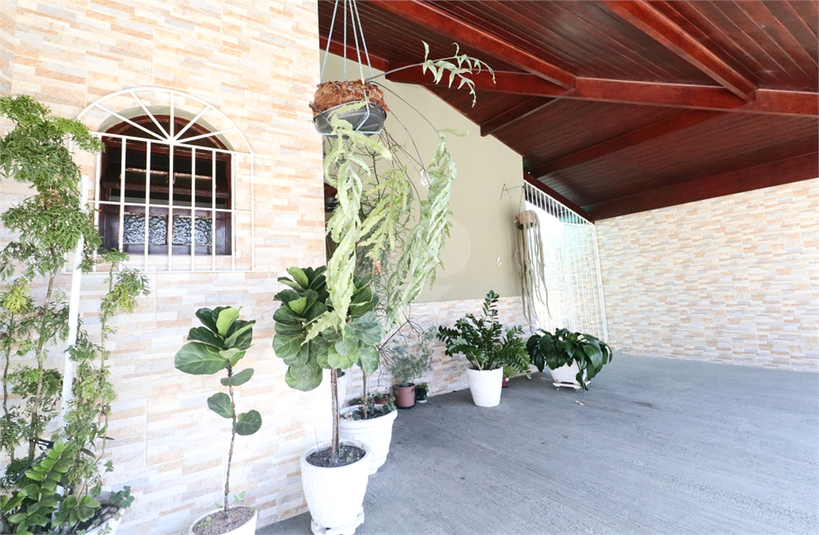 Foto REO1104187