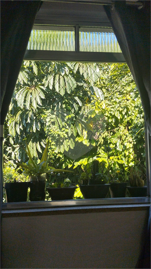 Foto REO1104212