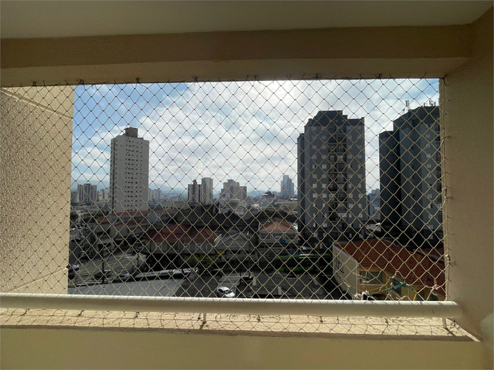 Foto REO1104225