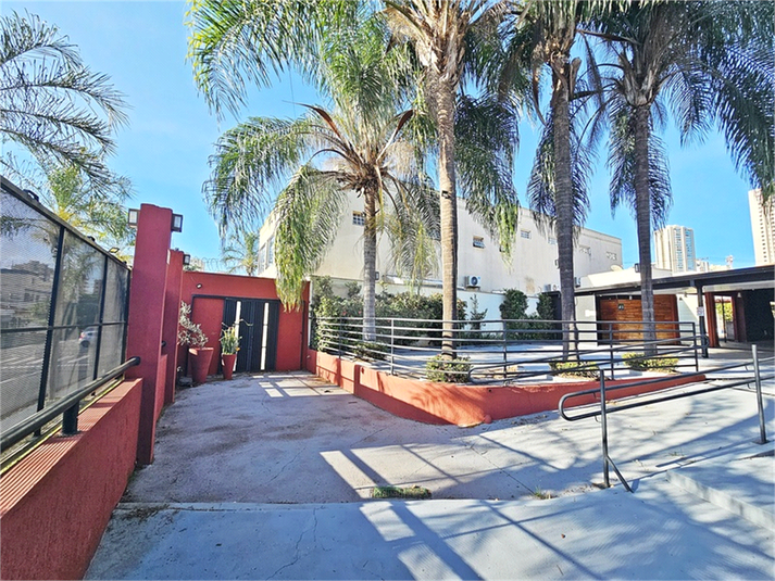 Foto REO1104228