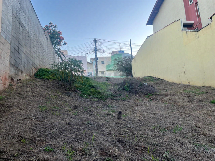 Foto REO1104235