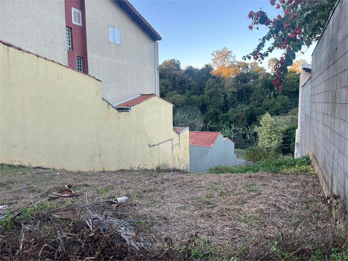Foto REO1104235