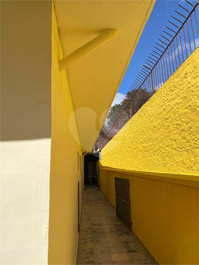 Foto REO1104251
