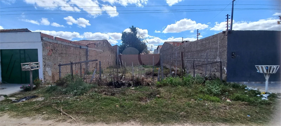 Foto REO1104253
