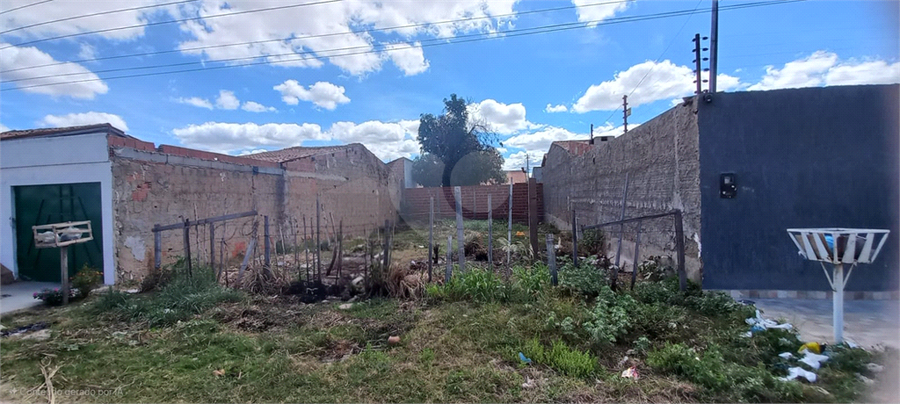 Foto REO1104253