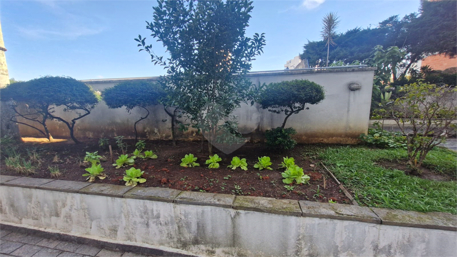 Foto REO1104257