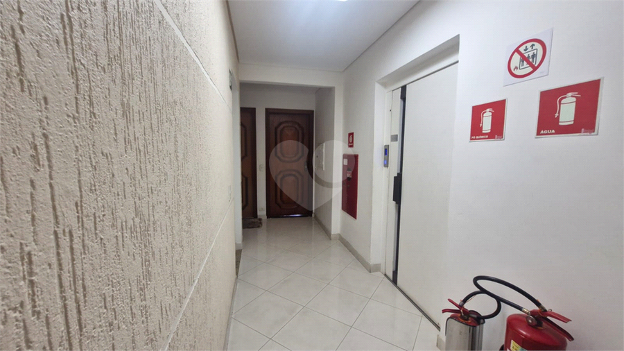 Foto REO1104257