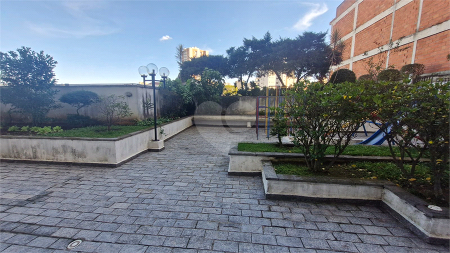 Foto REO1104257