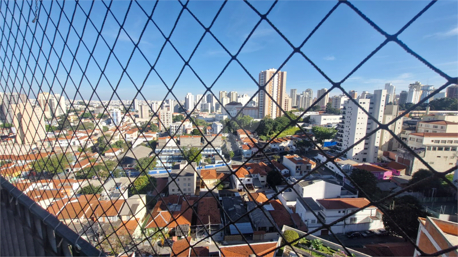 Foto REO1104257
