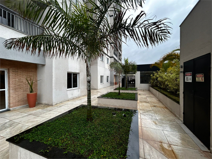 Foto REO1104273