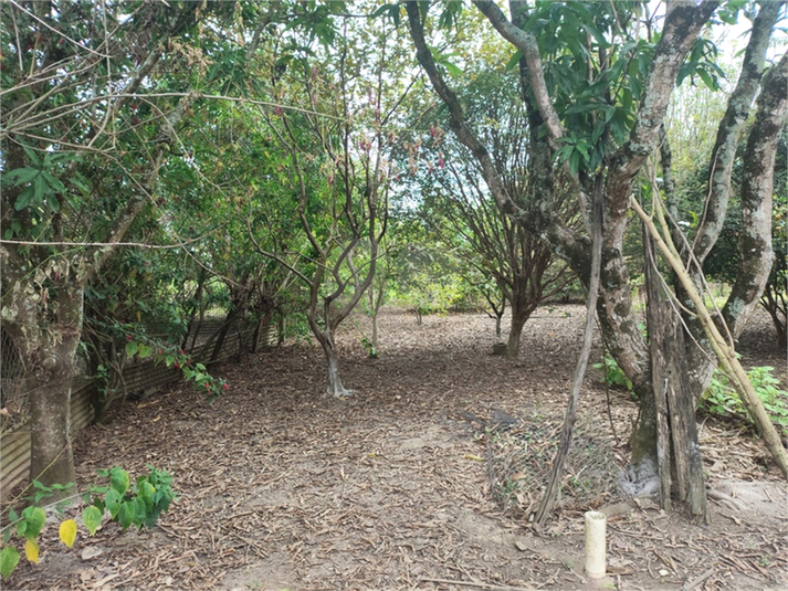 Foto REO1104281