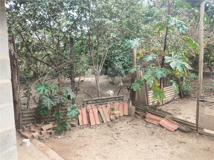 Foto REO1104281