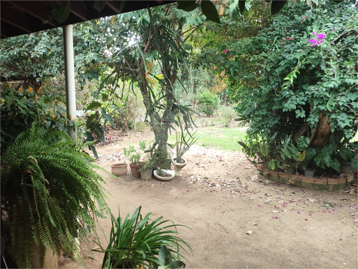 Foto REO1104281