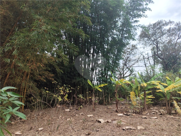 Foto REO1104281