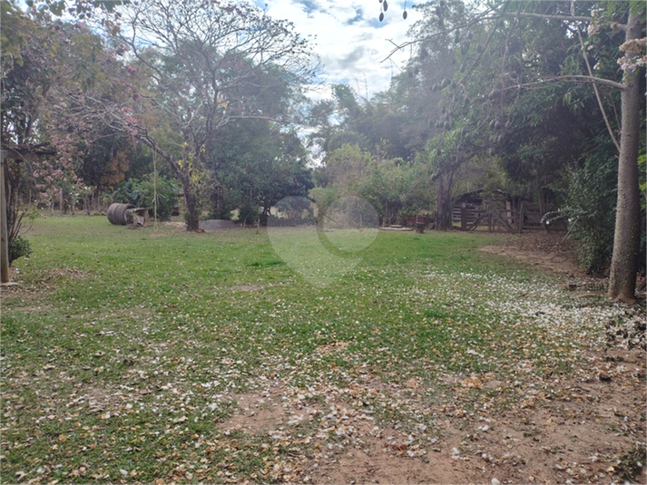 Foto REO1104281