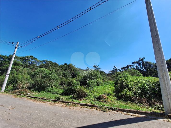 Foto REO1104292