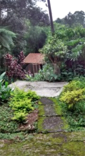 Foto REO1104294