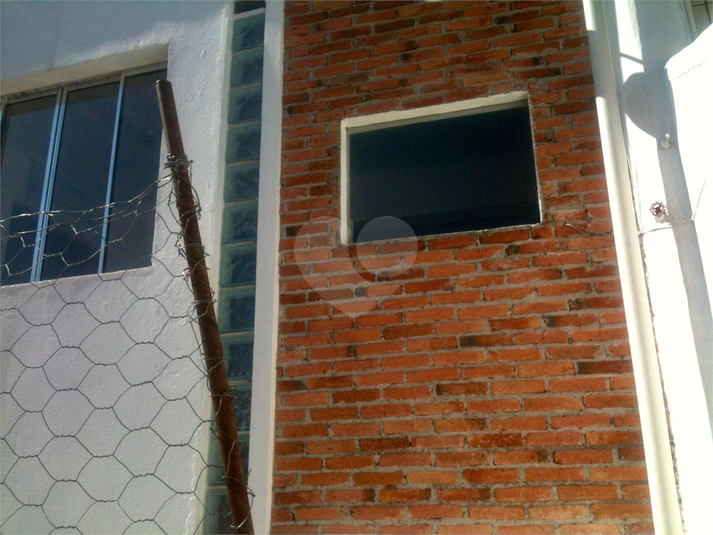 Foto REO1104311
