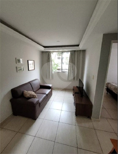 Foto REO1104323