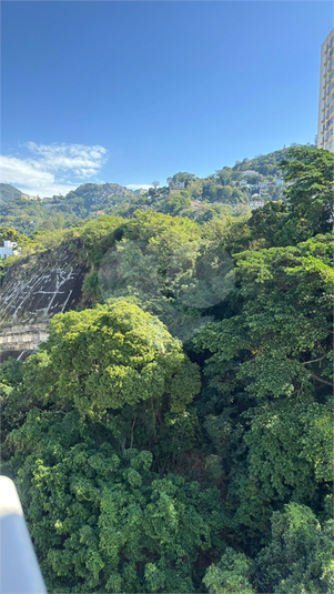 Foto REO1104340
