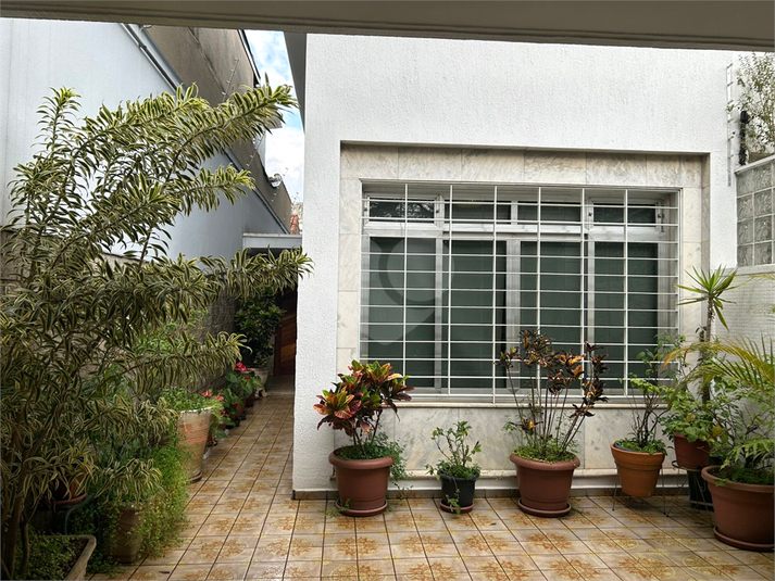 Foto REO1104349